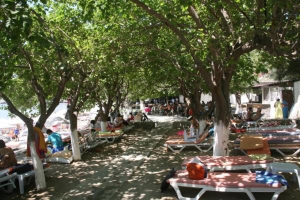 Meteor Beach Hotel Turgutreis Exterior photo