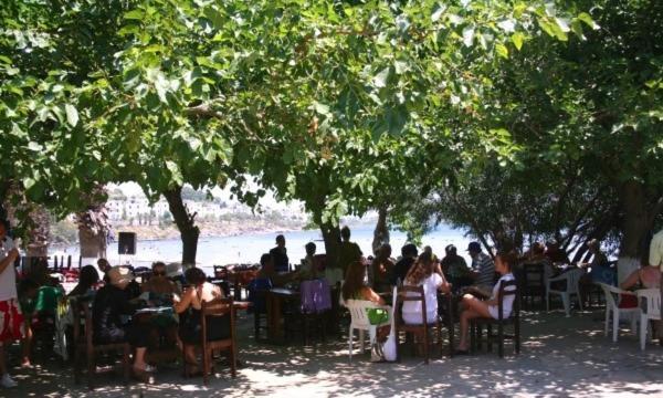 Meteor Beach Hotel Turgutreis Exterior photo